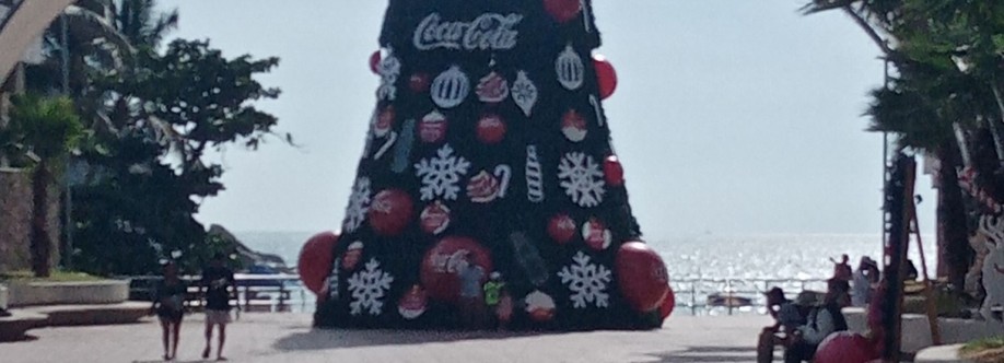 Acapulco desde otra vista Cover Image