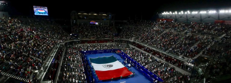 Arena GNP Seguros Cover Image