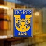 Club Tigres profile picture